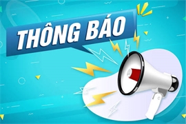 Thông báo đấu giá số 25.1-2026-TBDG-HP ngày 07 tháng 8 năm 2026